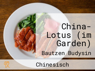China- Lotus (im Garden)