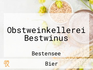 Obstweinkellerei Bestwinus