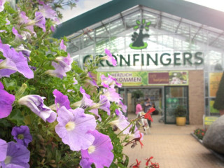 Grönfinger`s Rostock`s Gartenfachmarkt Gmbh Gartenfachhandel