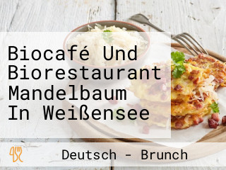 Biocafé Und Biorestaurant Mandelbaum In Weißensee