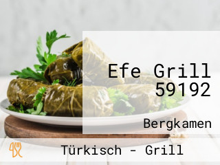 Efe Grill 59192