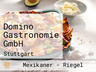 Domino Gastronomie GmbH