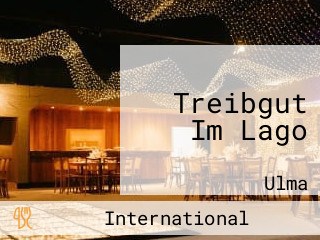 Treibgut Im Lago