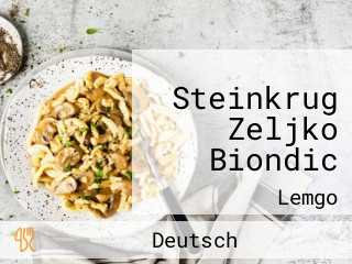 Steinkrug Zeljko Biondic