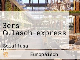 3ers Gulasch-express