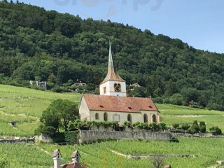 Bielersee Gastro