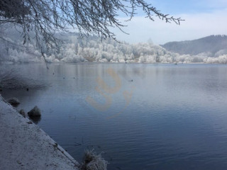 Campingplatz Türlersee