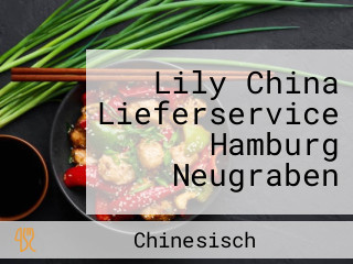 Lily China Lieferservice Hamburg Neugraben