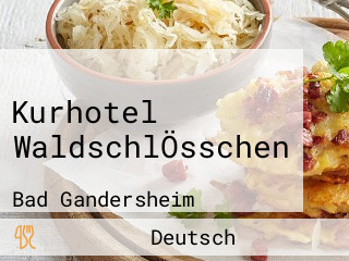 Kurhotel WaldschlÖsschen