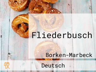 Fliederbusch