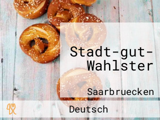 Stadt-gut- Wahlster