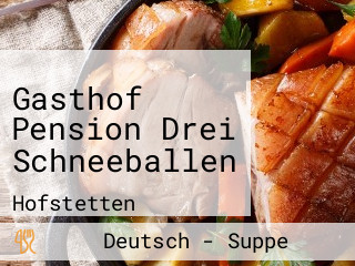 Gasthof Pension Drei Schneeballen