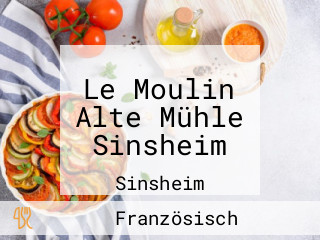 Le Moulin Alte Mühle Sinsheim