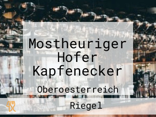 Mostheuriger Hofer Kapfenecker