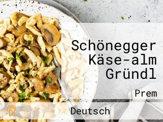 Schönegger Käse-alm Gründl