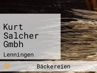 Kurt Salcher Gmbh