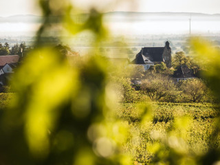 Weingut Und Gästehaus Estelmann