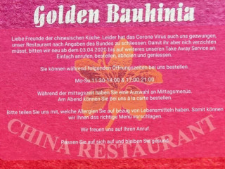 Golden Bauhinia