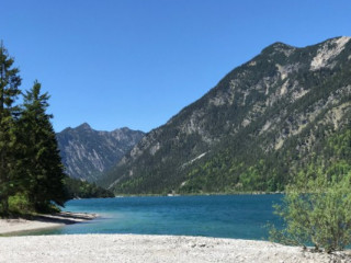 MusterAlpe am Plansee