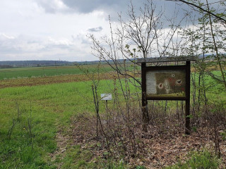 Zur Schönen Aussicht