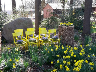 Osterblumen Café Auen-holthaus