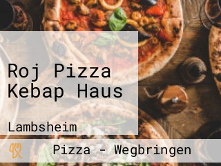 Roj Pizza Kebap Haus