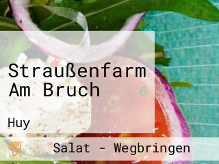 Straußenfarm Am Bruch