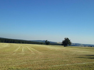 Gasthaus Zum Frankenwald