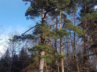 Wanderhütte Bochingen