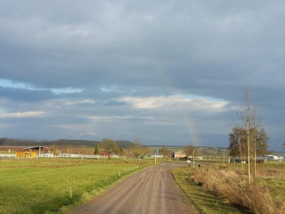 Gasthaus Zum Forcheneck