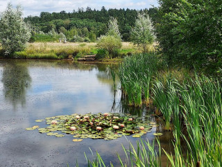 Schlosspark Dennenlohe