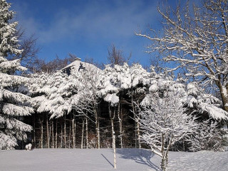 Rennsteighotel Herrnberger Hof