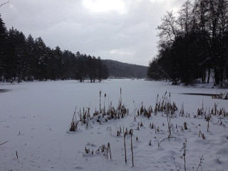 Rader's Waldschaenke Am Ebnisee