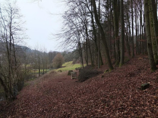 Gaststaette Gruener Schwan Gmbh