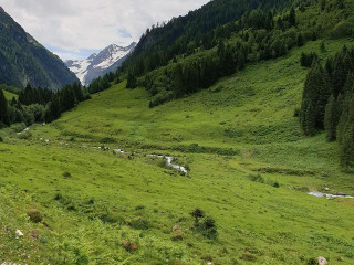 Jausenstation Wimmertalalm