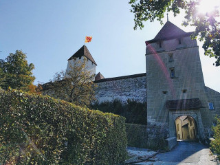 Burgdorf Castle