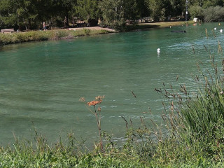 Schali Lago By Cervo