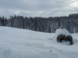 Alp Wissboden