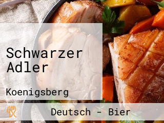 Schwarzer Adler