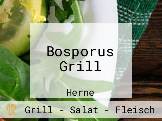 Bosporus Grill