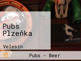 Pubs Plzeňka