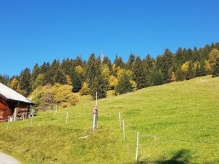 Henslerstüble