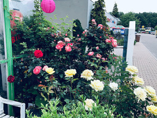 Asiagourmet Vietnamesische