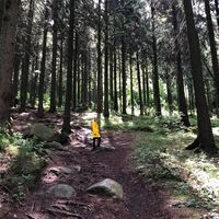 Wernigerode Harzblick Speisekarte