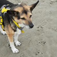 In Norddeich Am Strand