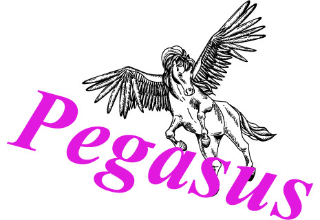 Pegasus Grill